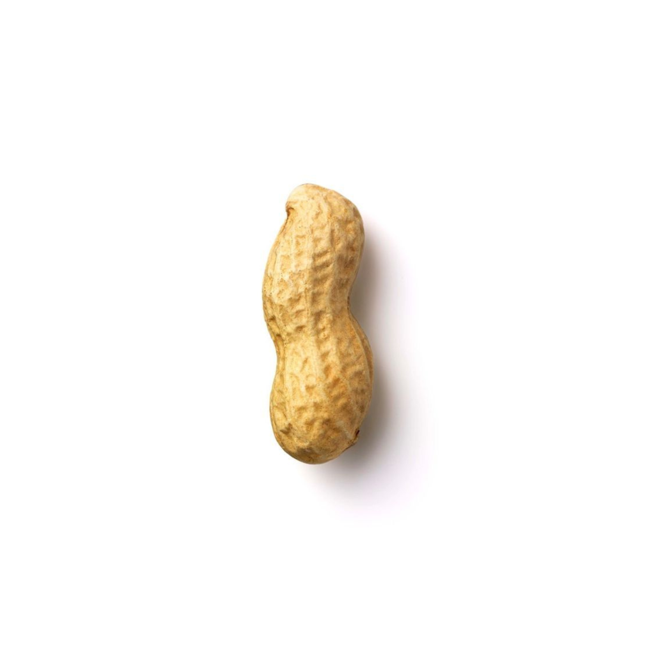 CACAHUETE TOSTADO