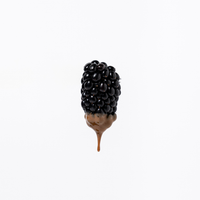 Crème d'amande BIO