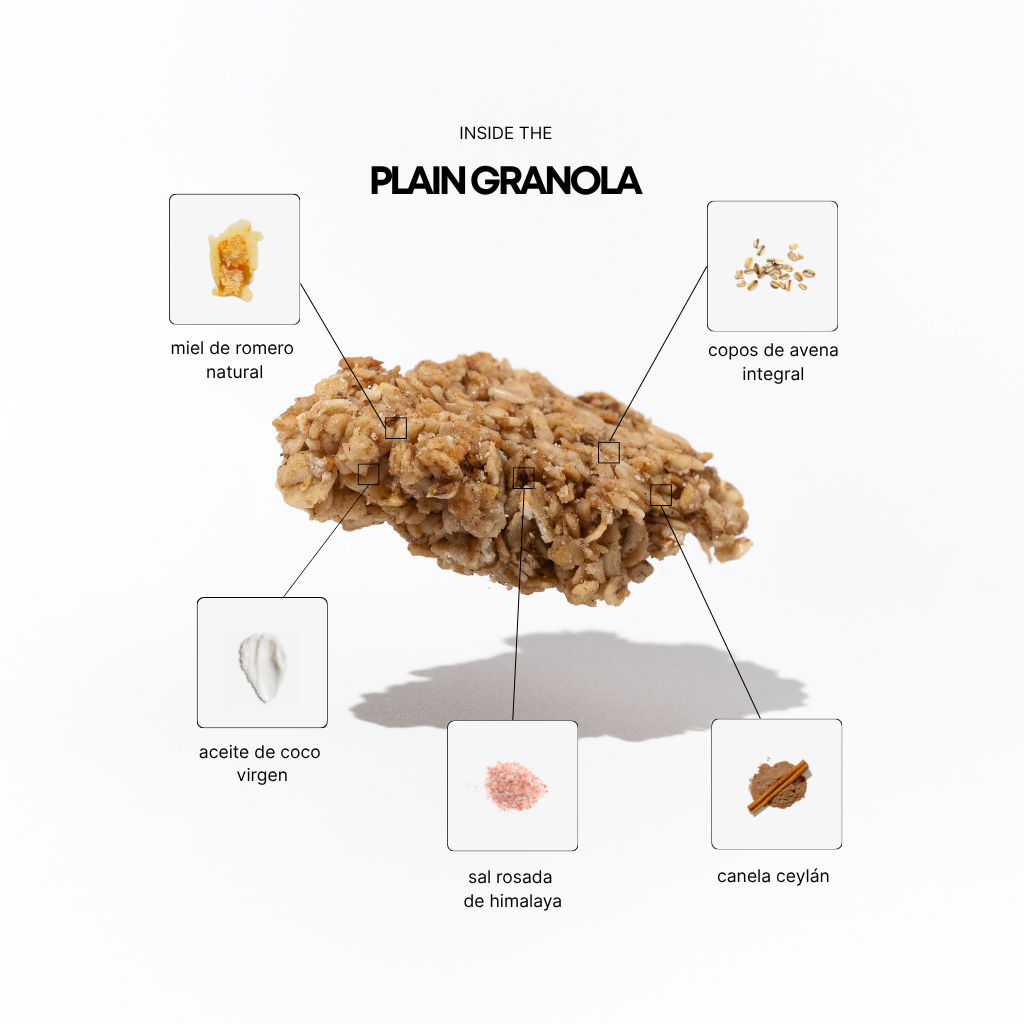 Granola Nature (LOT DE 4)