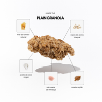 Granola Nature (LOT DE 4)